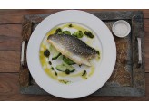 Mount Fish Dish